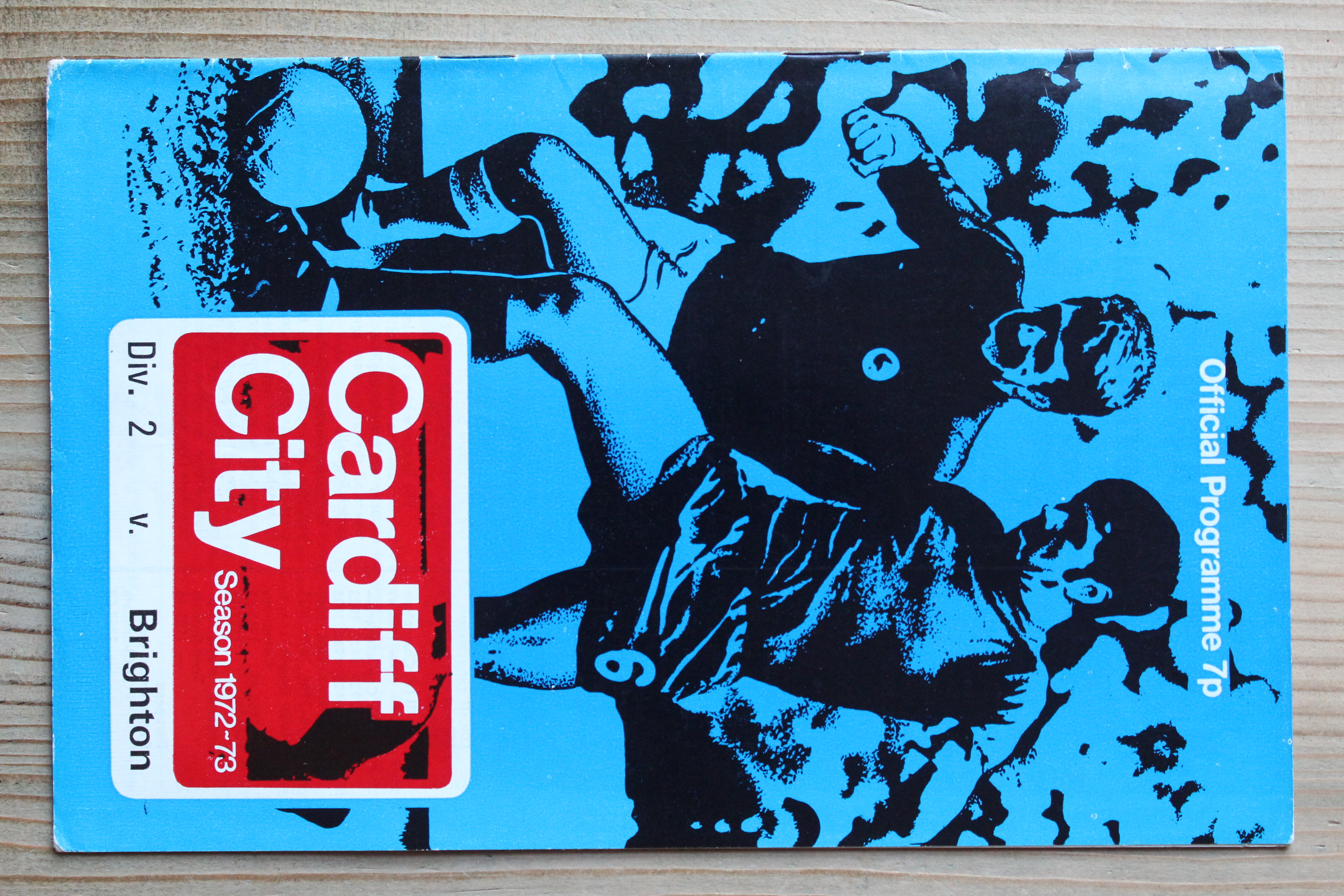 Cardiff City FC v Brighton & Hove Albion FC