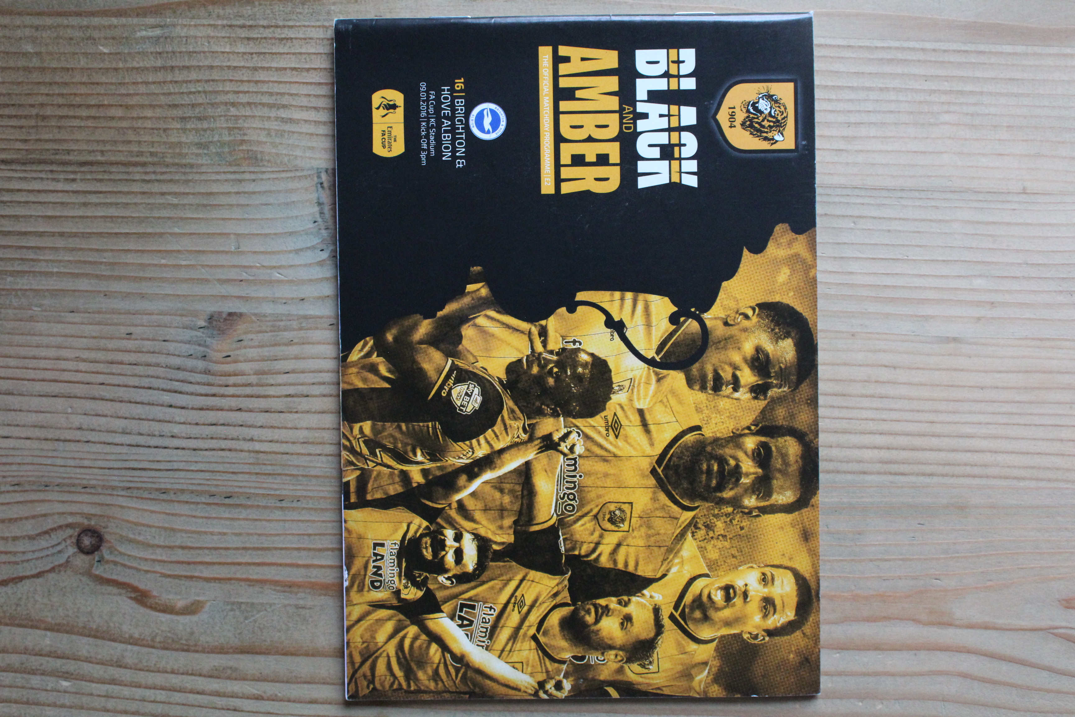 Hull City FC v Brighton & Hove Albion FC