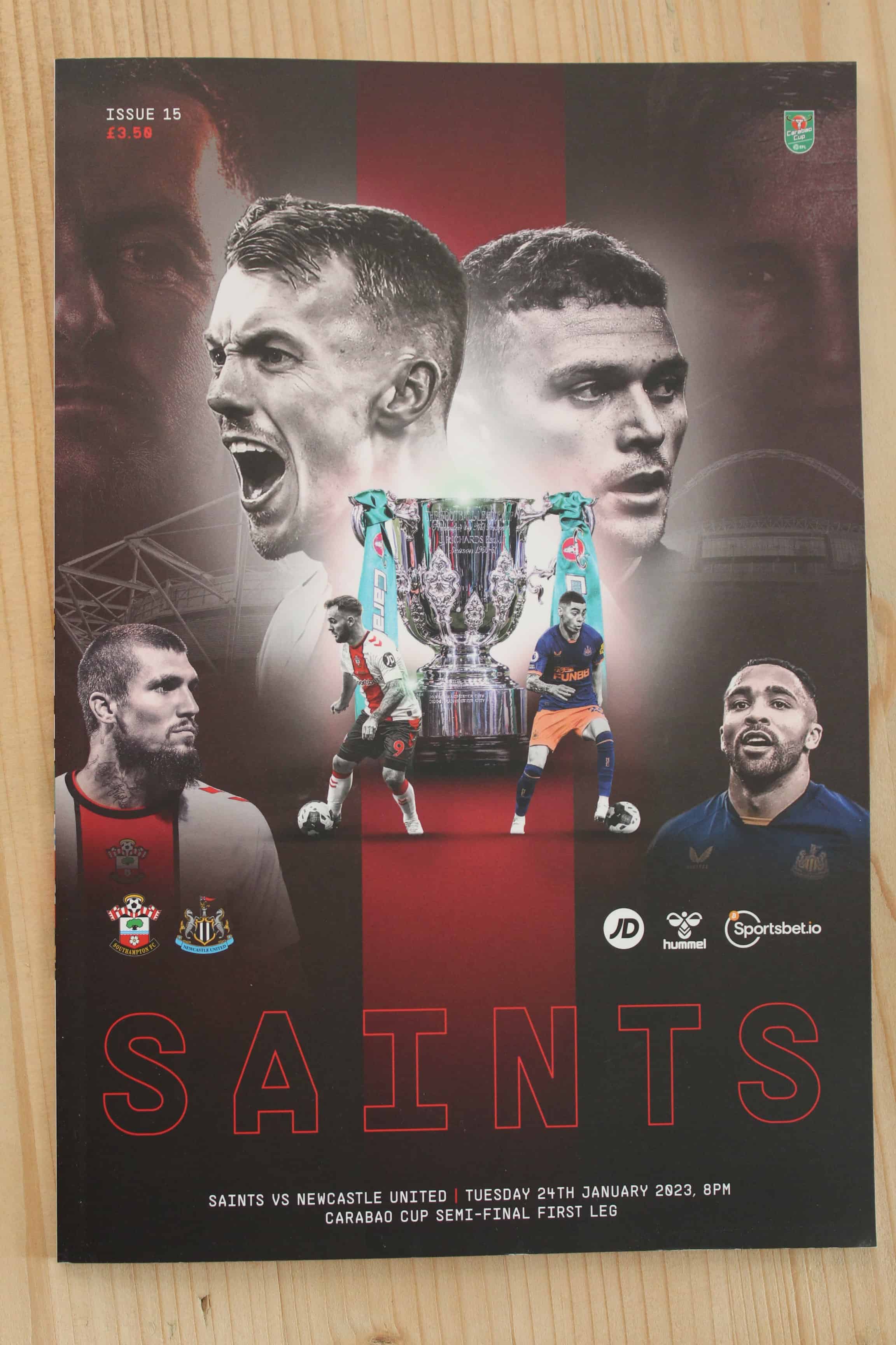 Southampton FC v Newcastle United FC