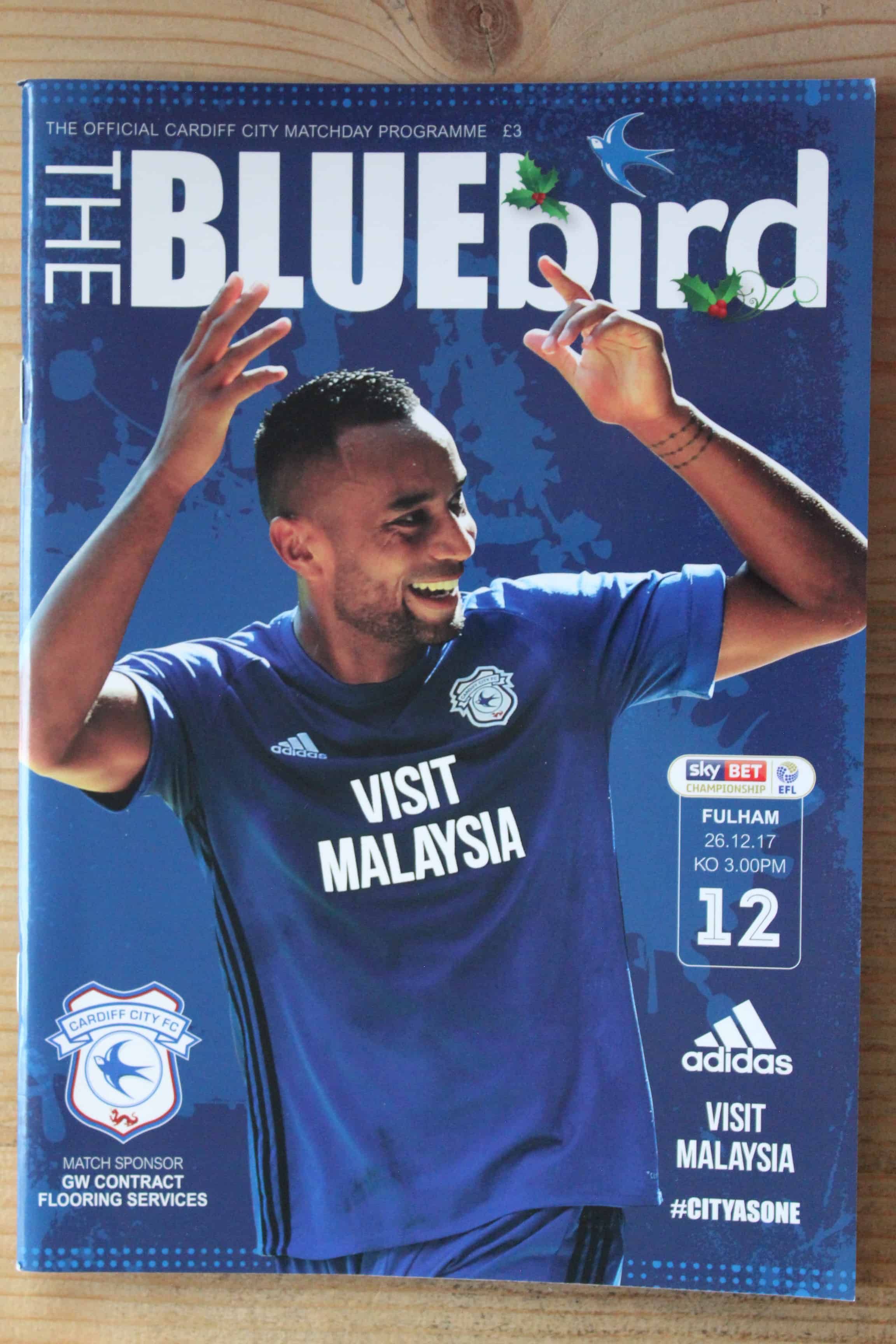 Cardiff City FC v Fulham FC