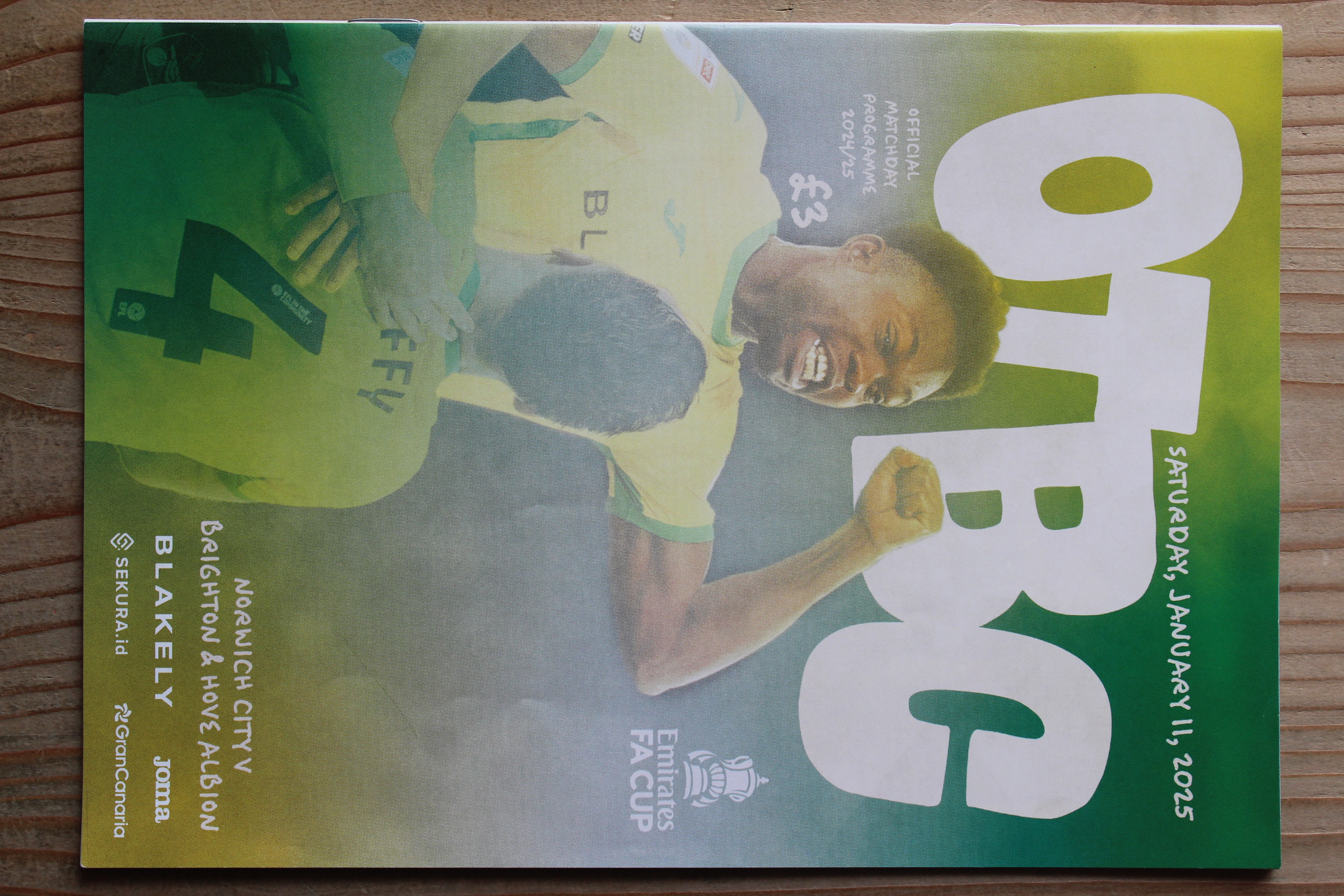 Norwich City FC v Brighton & Hove Albion FC