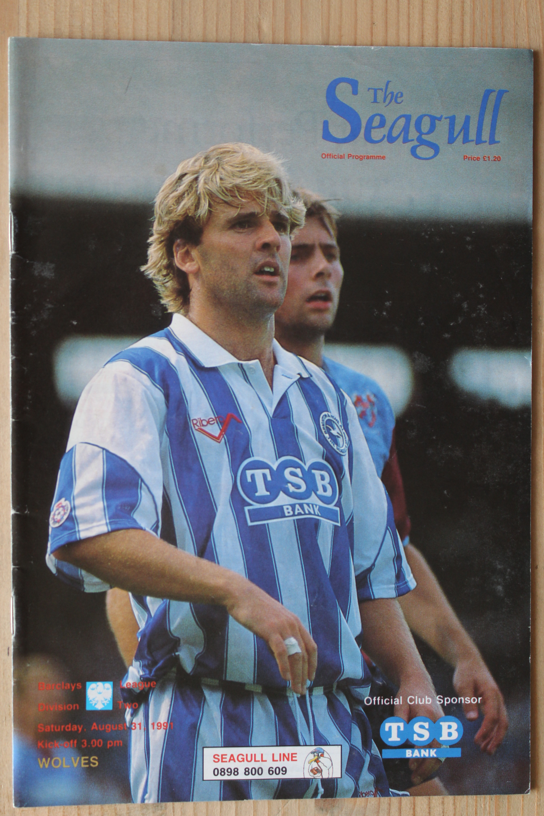 Brighton & Hove Albion FC v Wolverhampton Wanderers FC