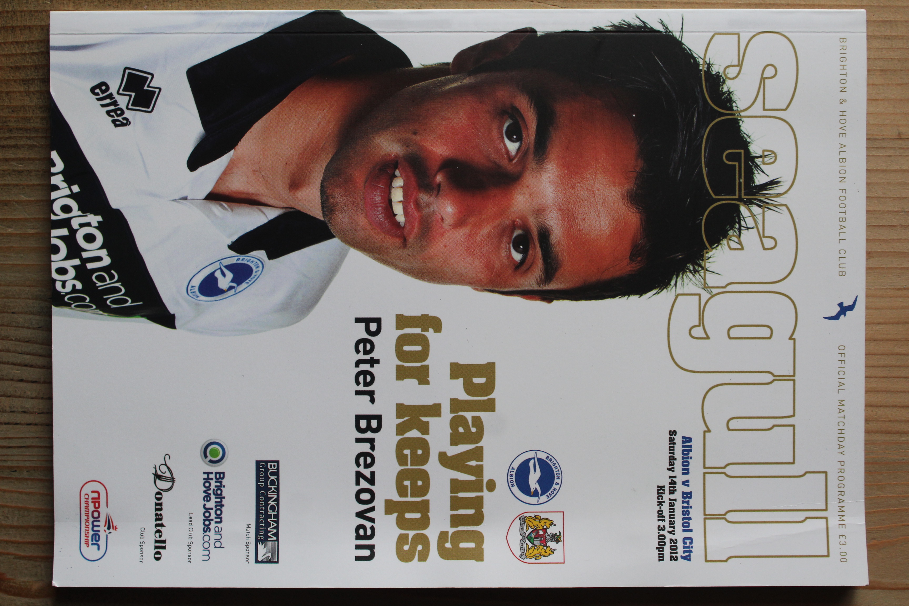 Brighton & Hove Albion FC v Bristol City FC