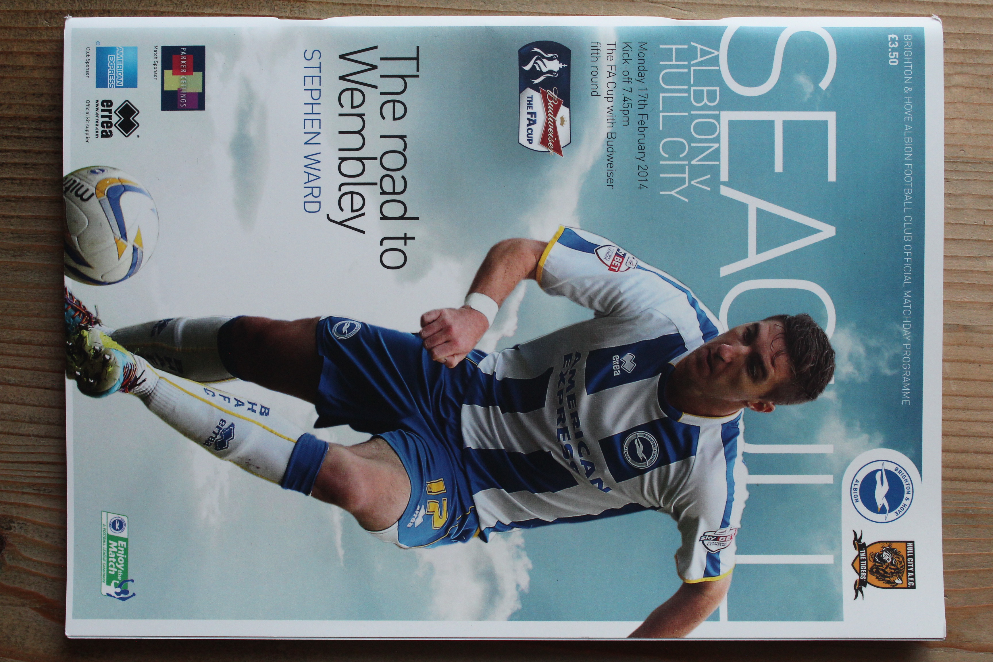 Brighton & Hove Albion FC v Hull City FC