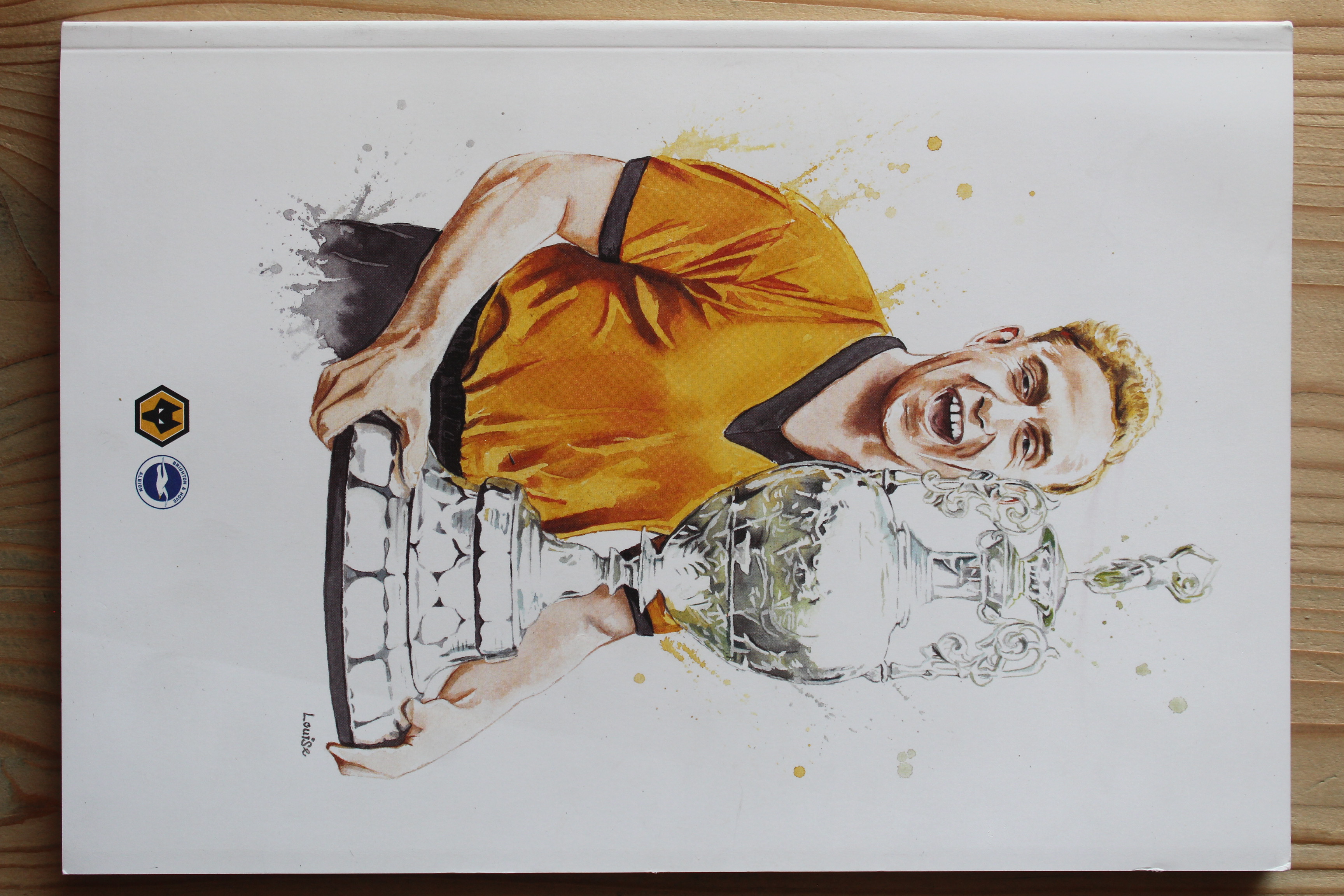 Wolverhampton Wanderers FC v Brighton & Hove Albion FC