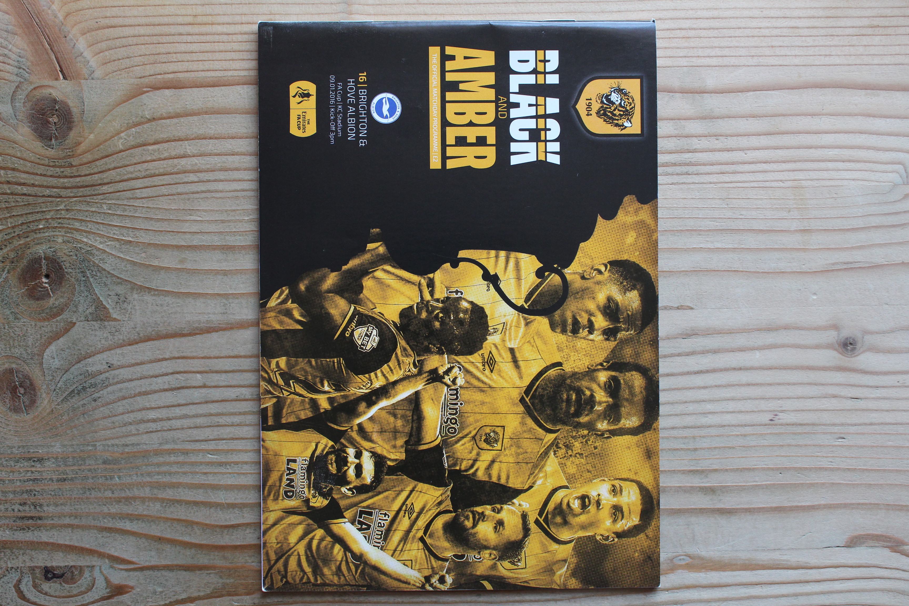 Hull City FC v Brighton & Hove Albion FC